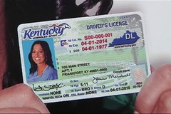 Kentucky Licensing image 1